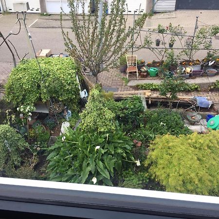 Reiwa Bed & Breakfast Amsterdam Luaran gambar