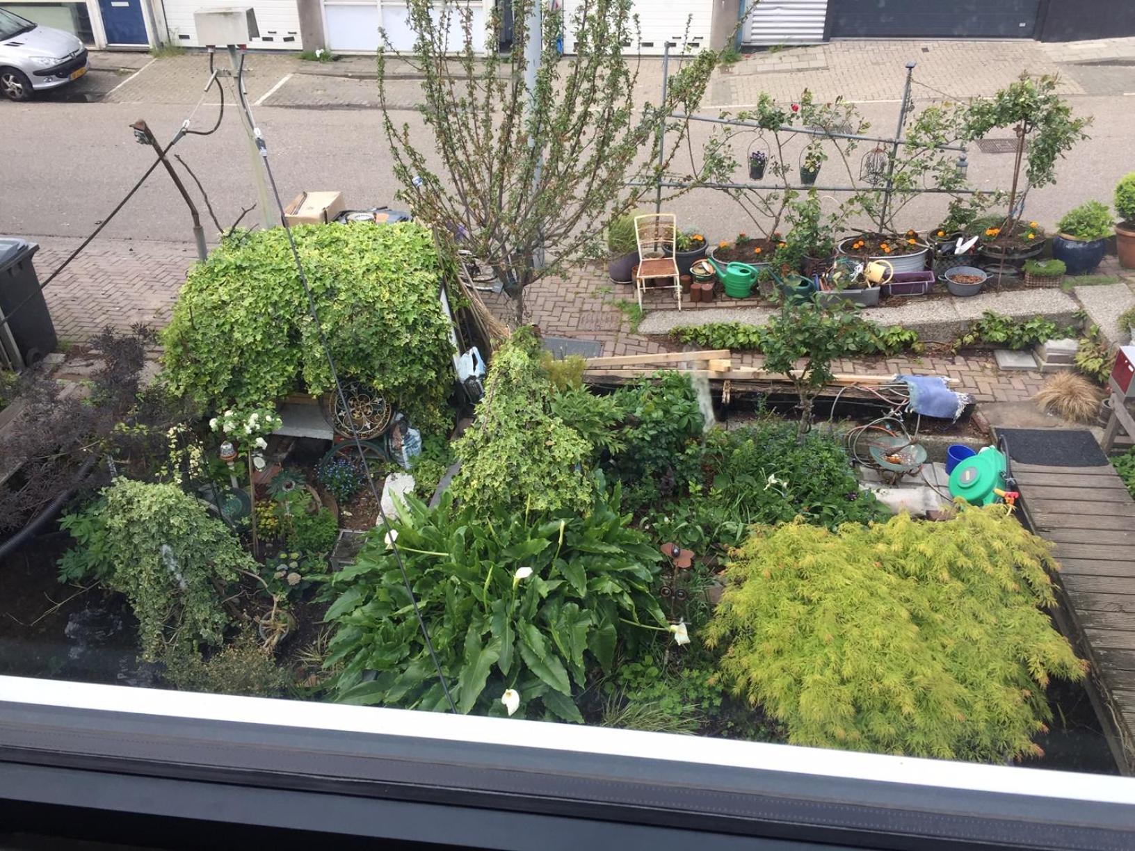 Reiwa Bed & Breakfast Amsterdam Luaran gambar
